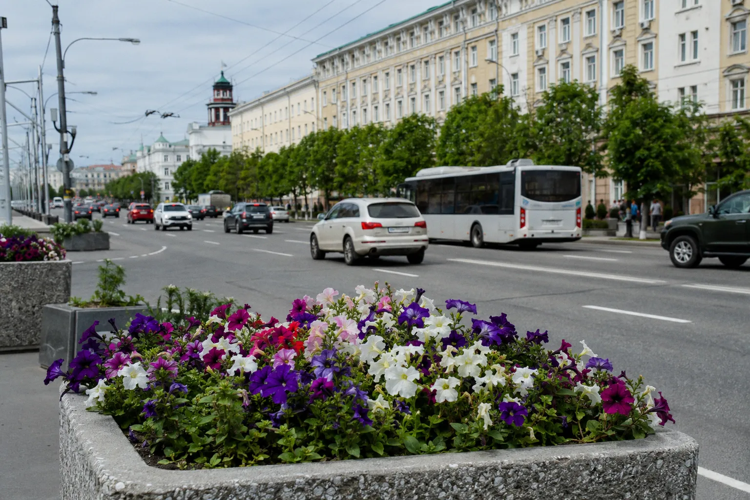 Мобильные пункты здоровья в Мурманске: как пройти экспресс-диагностику и диспансеризацию